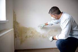 Best Emergency Mold Remediation  in Midway, NC